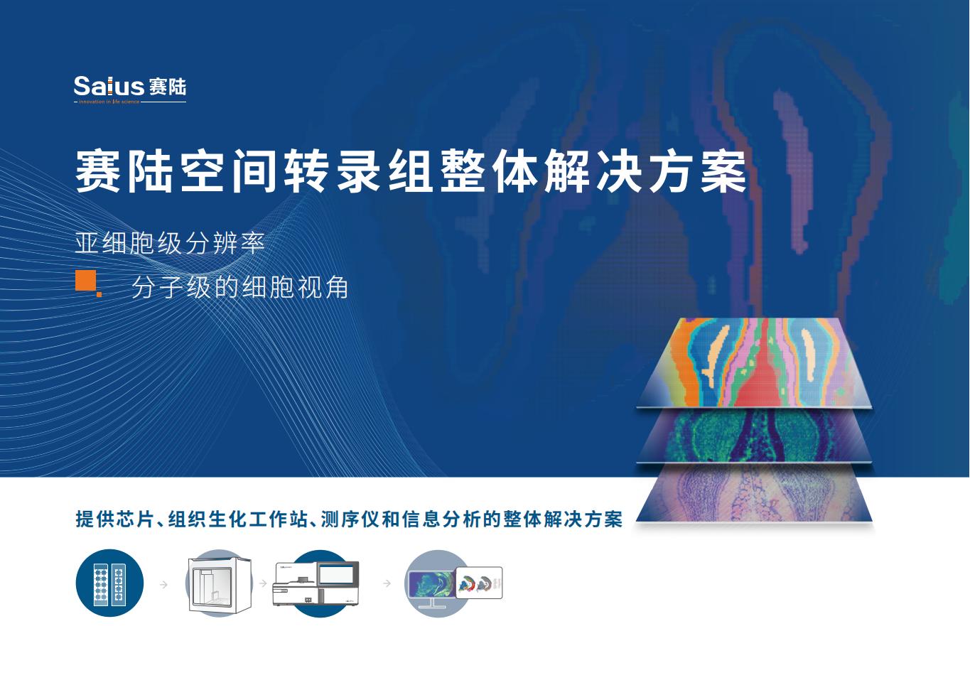 空间转录组封面.jpg